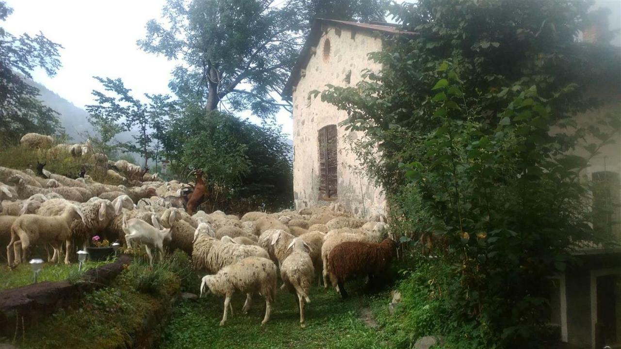 B&B L'Abric - Centro Storico Di Limonetto Limone Piemonte Exterior photo